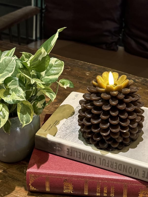 Flameless Pinecone Candles