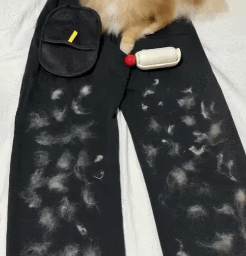 Pet Hair Remover Electrostatic Gloves